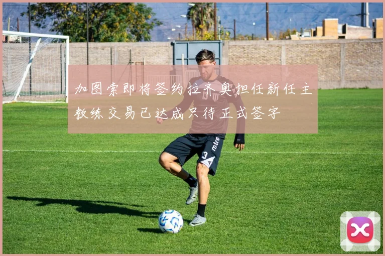 加图索即将签约拉齐奥担任新任主教练交易已达成只待正式签字