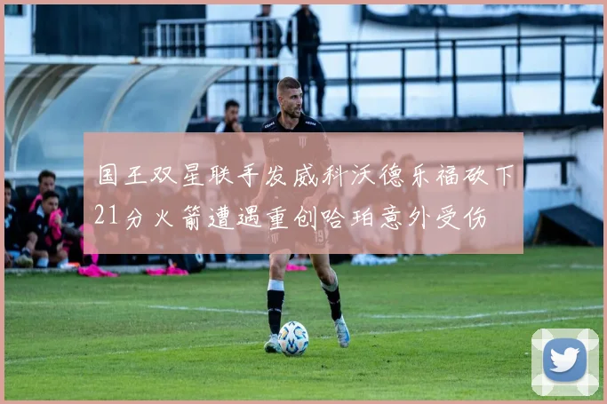国王双星联手发威科沃德乐福砍下21分火箭遭遇重创哈珀意外受伤