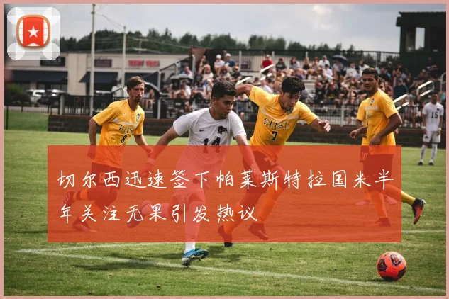 切尔西迅速签下帕莱斯特拉国米半年关注无果引发热议